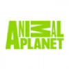 Animal Planet HD